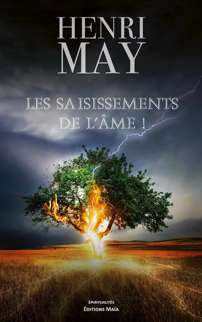 Couverture de « Les saisissements de l’âme ! »