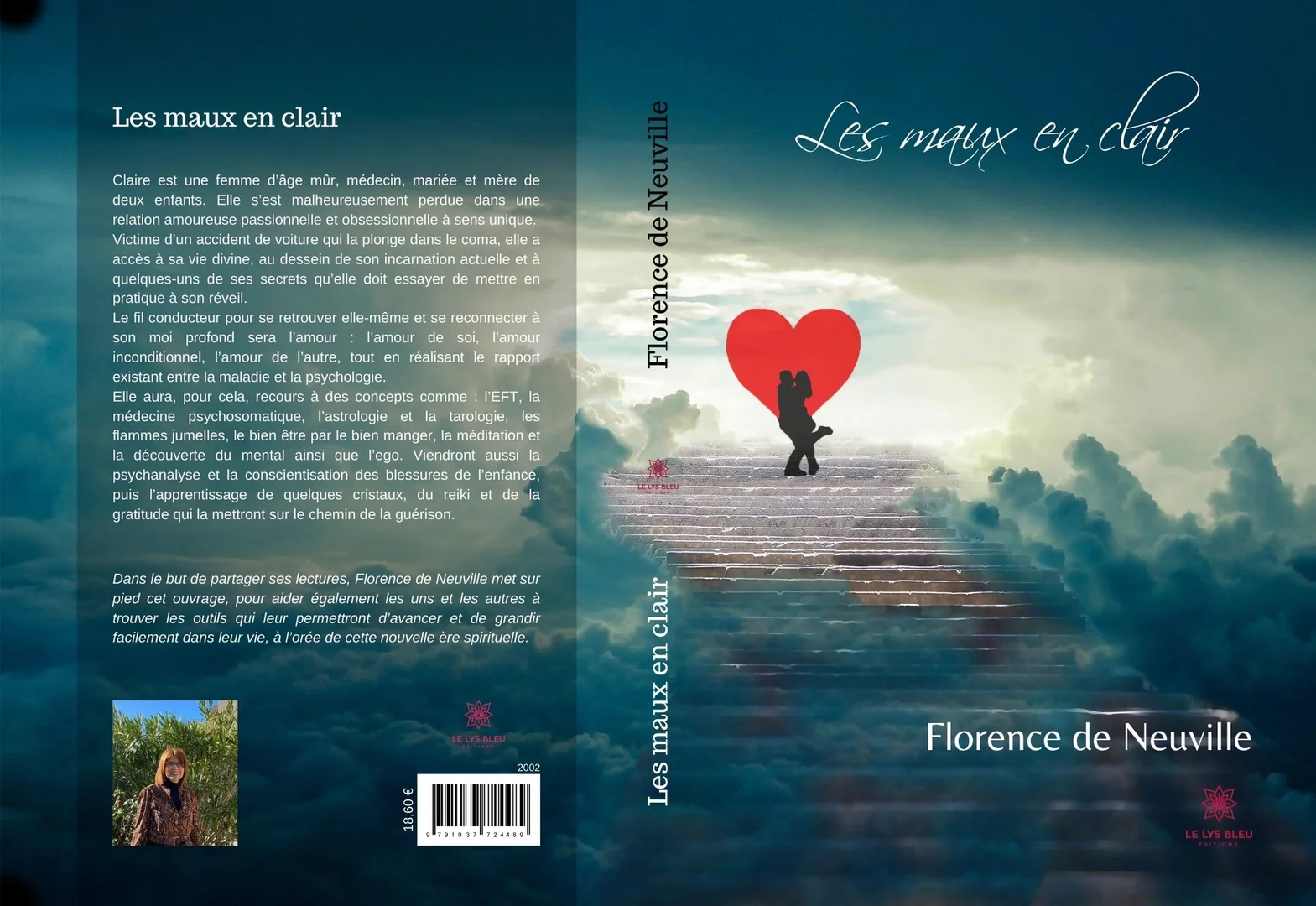 Couverture de Les maux en clair
